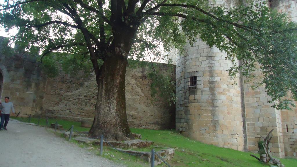 Casas Rurales El Caminante Aldeanueva del Camino Eksteriør billede